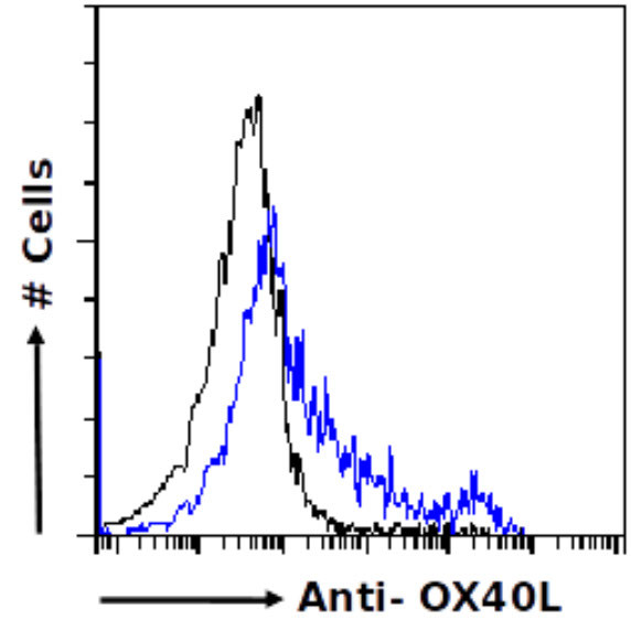 OX40L (CD252) (Oxelumab Biosimilar) Antibody in Flow Cytometry (Flow)