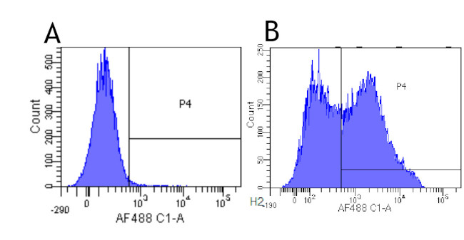 L-Selectin (CD62L) Chimeric Antibody in Flow Cytometry (Flow)