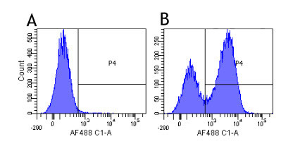 CD3e Chimeric Antibody in Flow Cytometry (Flow)