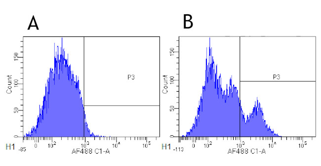 CD22 (Epratuzumab Biosimilar) Antibody in Flow Cytometry (Flow)