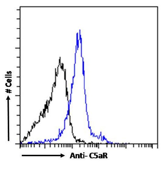 C5AR1 Chimeric Antibody in Flow Cytometry (Flow)