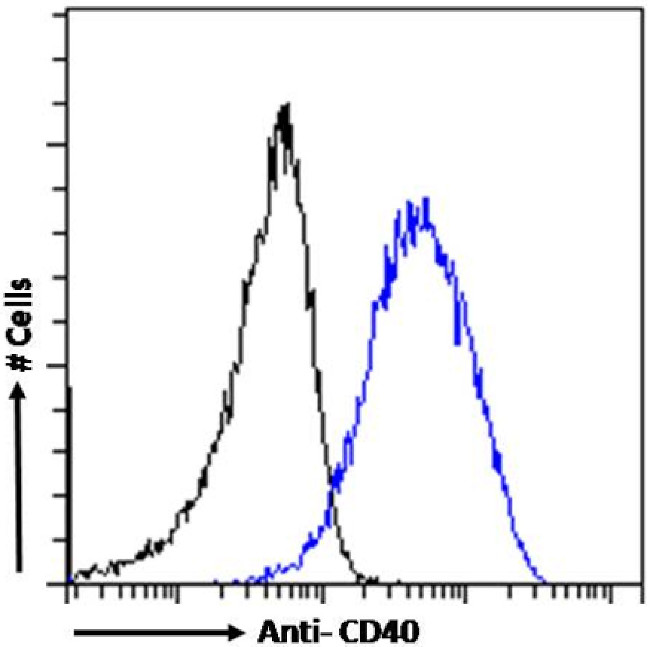 CD40 Chimeric Antibody in Flow Cytometry (Flow)