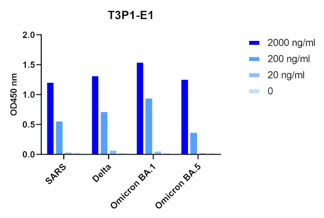 SARS-CoV-2 Spike (trimer) Protein Antibody in ELISA (ELISA)