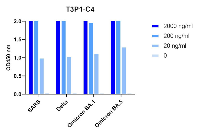 SARS-CoV-2 Spike (trimer) Protein Antibody in ELISA (ELISA)