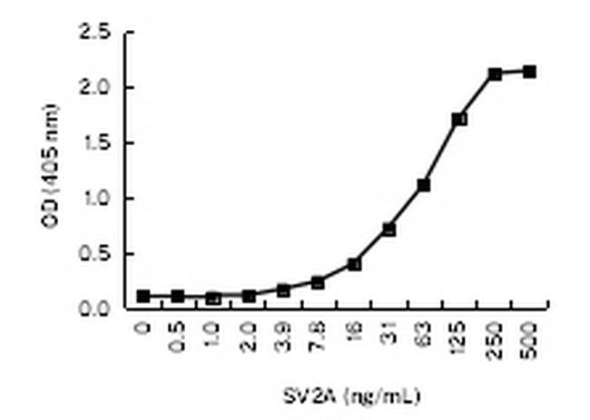 hCG beta Antibody in ELISA (ELISA)