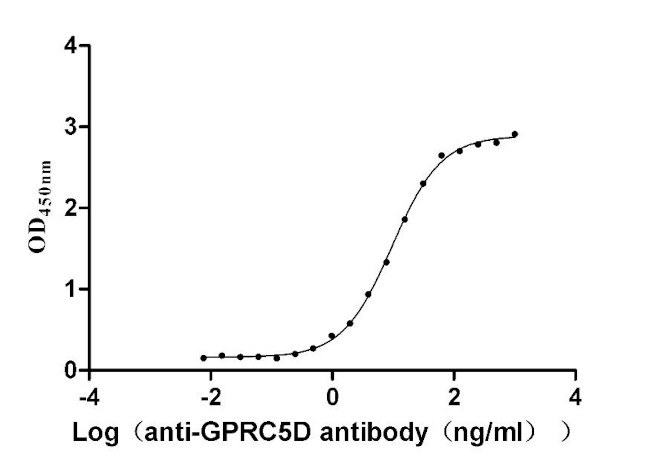 GPRC5D Antibody in ELISA (ELISA)