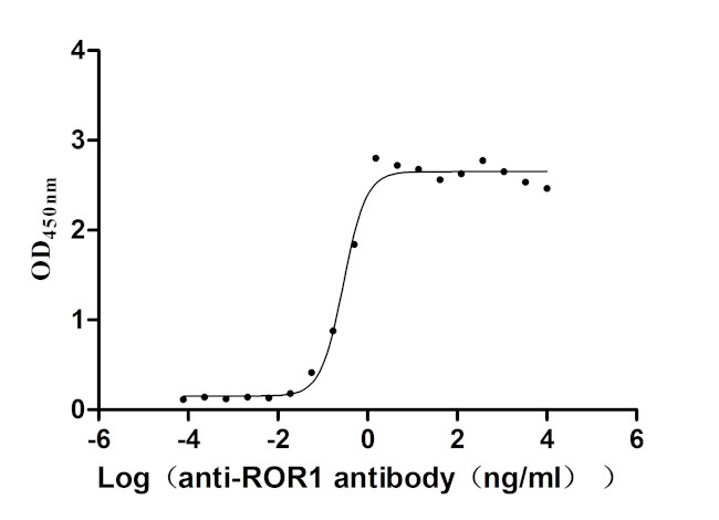 ROR1 Antibody in ELISA (ELISA)