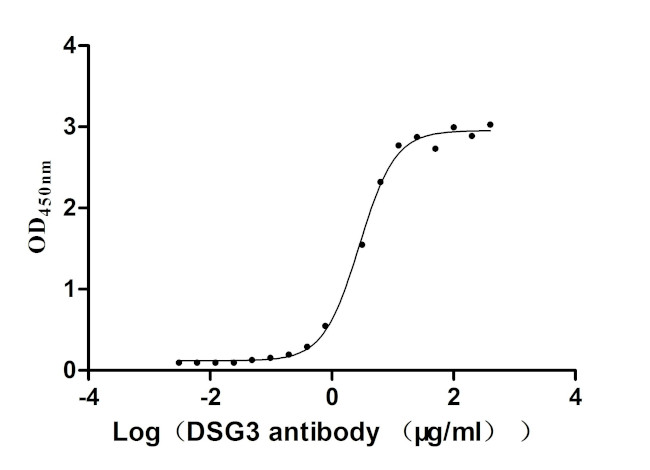 Desmoglein 3 Antibody in ELISA (ELISA)