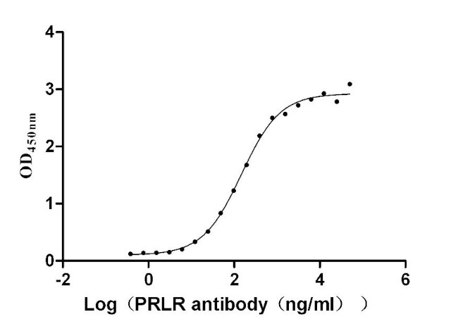 Prolactin Receptor Antibody in ELISA (ELISA)