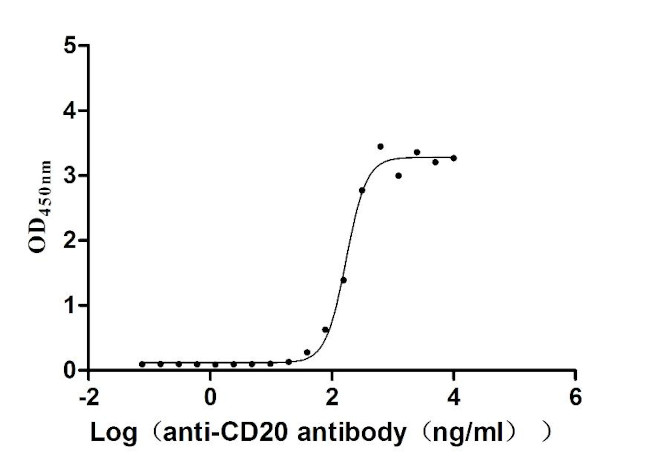 CD20 Antibody in ELISA (ELISA)