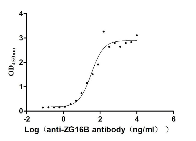 ZG16B Antibody in ELISA (ELISA)