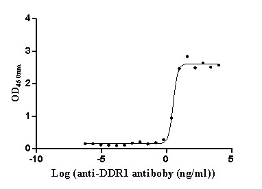 MCK10 Antibody in ELISA (ELISA)