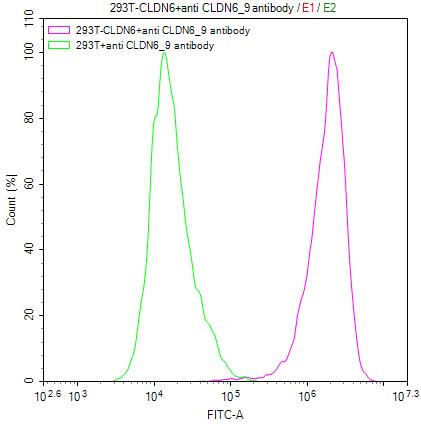 Claudin 6/9 Antibody in Flow Cytometry (Flow)