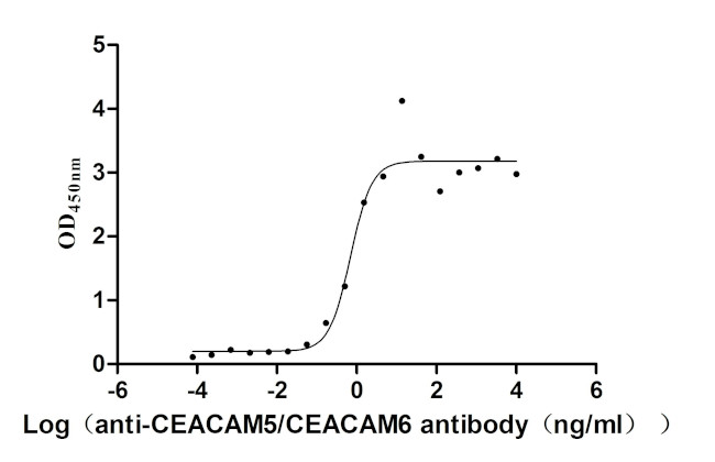 CEACAM5/CEACAM6 Antibody in ELISA (ELISA)