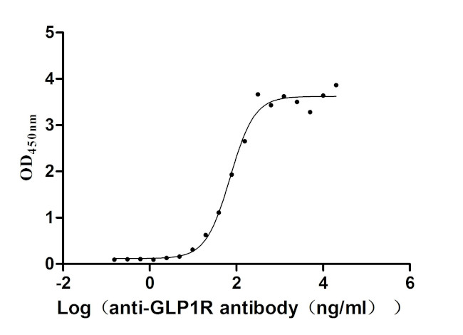 GLP1R Antibody in ELISA (ELISA)