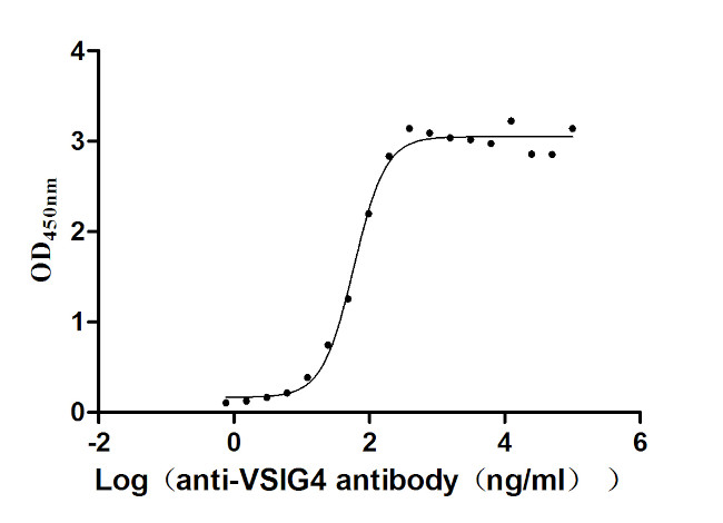 VSIG4 Antibody in ELISA (ELISA)