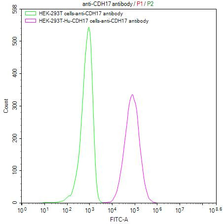 CDH17 Antibody in Flow Cytometry (Flow)