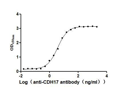 CDH17 Antibody in ELISA (ELISA)