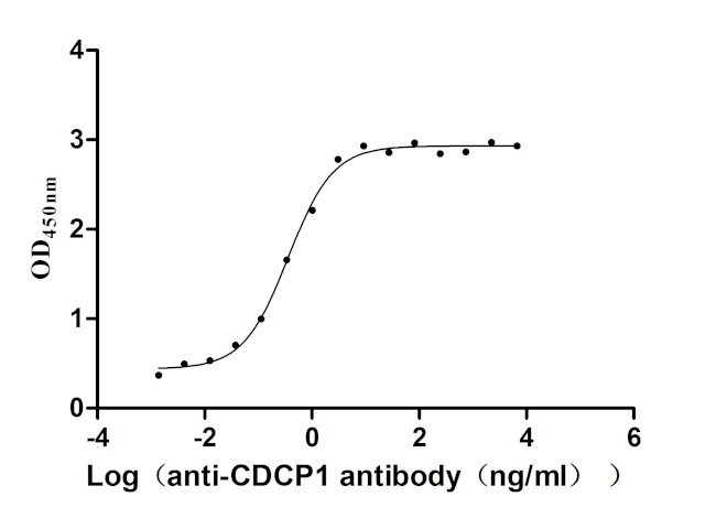 CDCP1 Antibody in ELISA (ELISA)