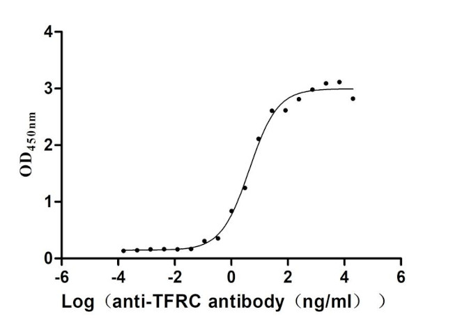 Transferrin Receptor Antibody in ELISA (ELISA)