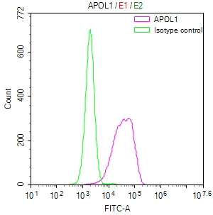 Apolipoprotein L1 Antibody in Flow Cytometry (Flow)
