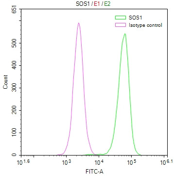 SOS1 Antibody in Flow Cytometry (Flow)