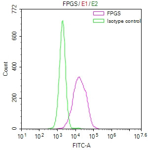 FPGS Antibody in Flow Cytometry (Flow)