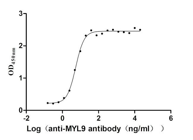 MYL9 Antibody in ELISA (ELISA)