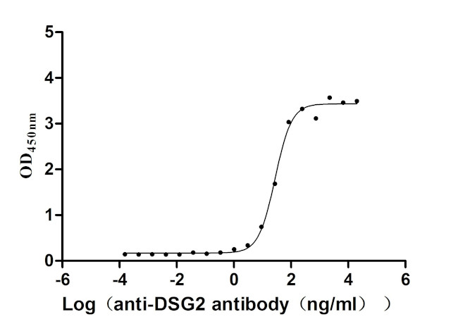 Desmoglein 2 Antibody in ELISA (ELISA)