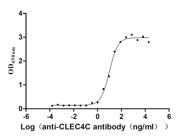 CLEC4C Antibody in ELISA (ELISA)