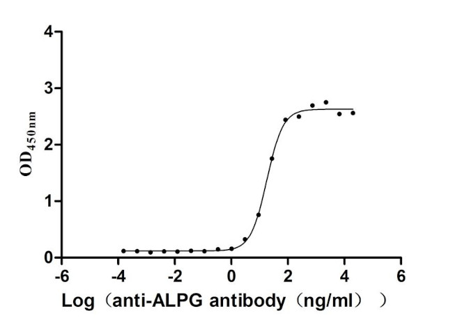 ALPPL2 Antibody in ELISA (ELISA)