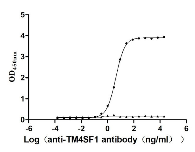 TM4SF1 Antibody in ELISA (ELISA)