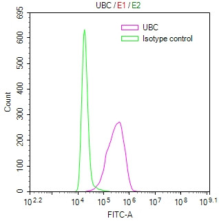 Ubiquitin C Antibody in Flow Cytometry (Flow)