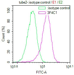 Phospho-Histone H3 (Ser28) Antibody in Flow Cytometry (Flow)