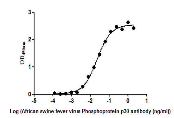 African Swine Fever Virus Structural Protein p54 Antibody in ELISA (ELISA)