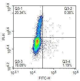 BrdU Antibody in Flow Cytometry (Flow)