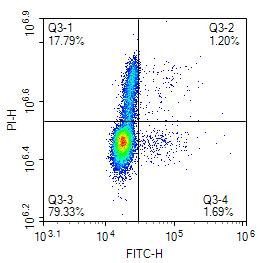 BrdU Antibody in Flow Cytometry (Flow)