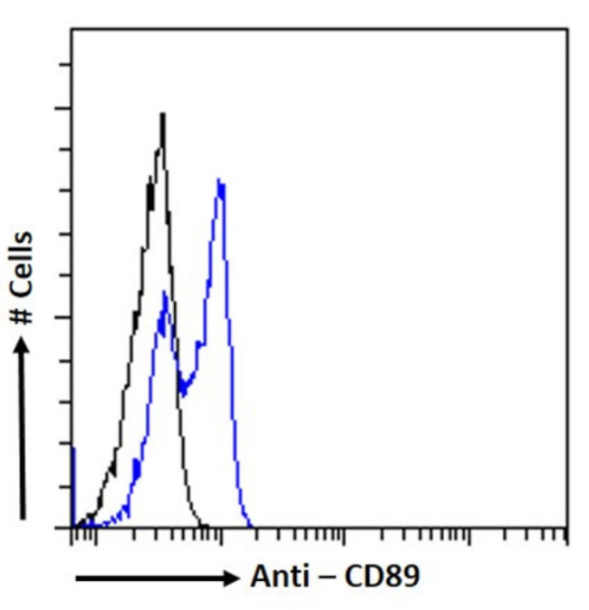 CD89 Chimeric Antibody in Flow Cytometry (Flow)