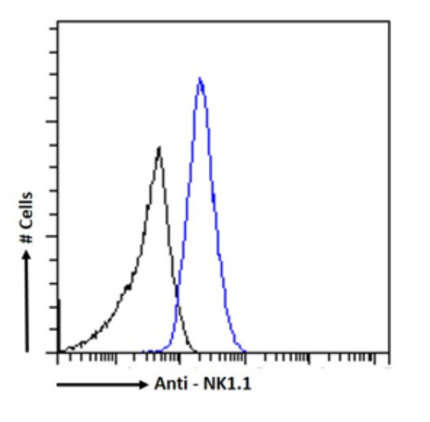 NK1.1 Chimeric Antibody in Flow Cytometry (Flow)