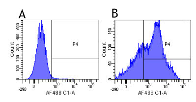 CD38 Chimeric Antibody in Flow Cytometry (Flow)