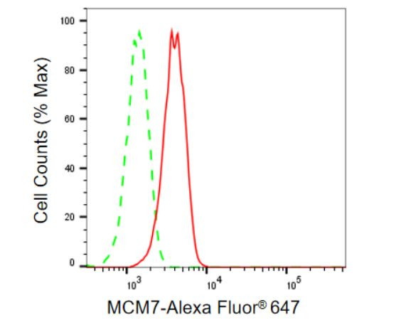 MCM7 Antibody in Flow Cytometry (Flow)
