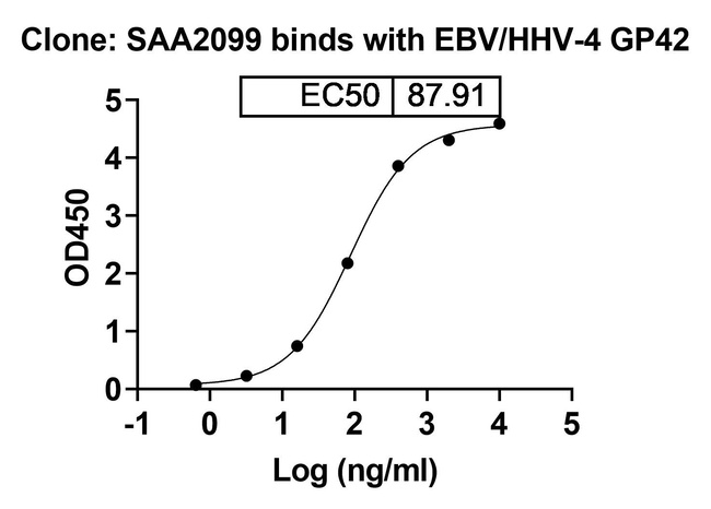 Epstein Barr Virus BZLF2 Humanized Antibody in ELISA (ELISA)