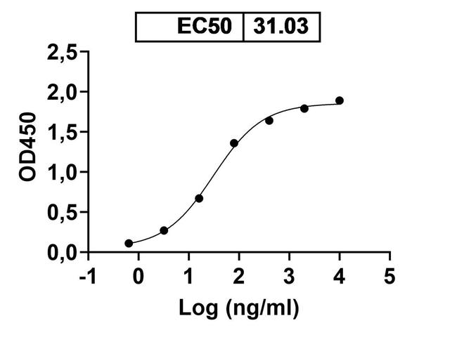 MMP13 Antibody in ELISA (ELISA)
