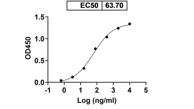 mCherry Antibody in ELISA (ELISA)