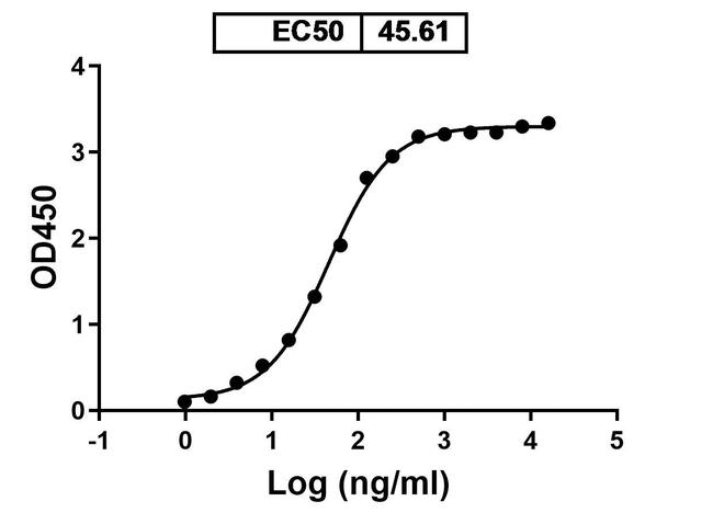 SARS-CoV-2 Spike Protein RBD Humanized Antibody in ELISA (ELISA)