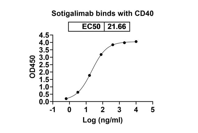 CD40 (Sotigalimab Biosimilar) Antibody in ELISA (ELISA)