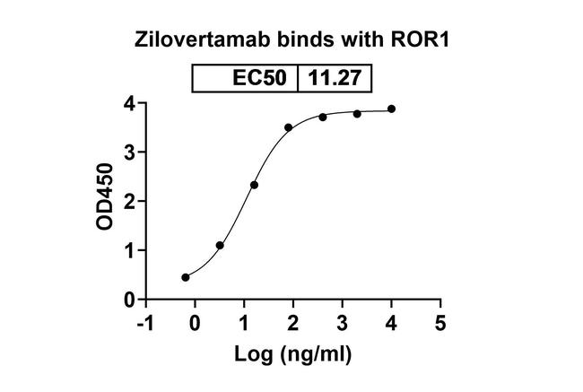 ROR1 (Zilovertamab Biosimilar) Antibody in ELISA (ELISA)