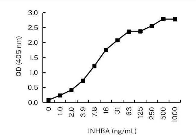 Activin A Antibody in ELISA (ELISA)