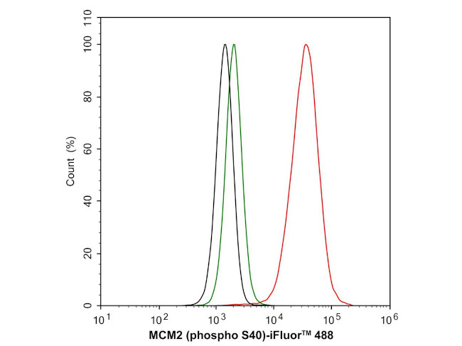 Phospho-MCM2 (Ser40) Antibody in Flow Cytometry (Flow)