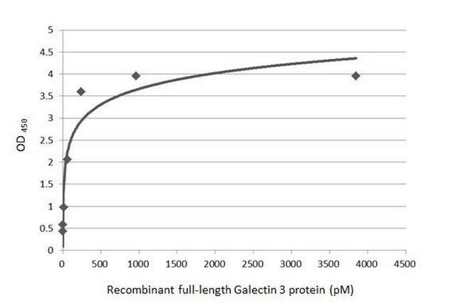 Galectin 3 Antibody in ELISA (ELISA)